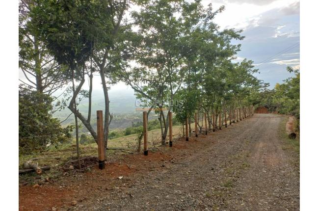 Lotes, Venta en El Cerrito