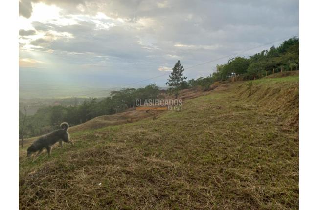 Lotes, Venta, El Cerrito - $720.000.000