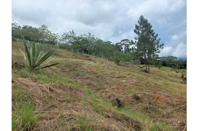 Lotes, Venta, El Cerrito - $720.000.000