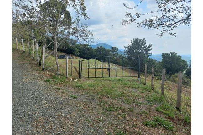 Lotes, Venta, El Cerrito - $720.000.000