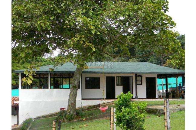 Fincas y Casas Campestres, Venta, Calima (Darién) - $1.300.000.000