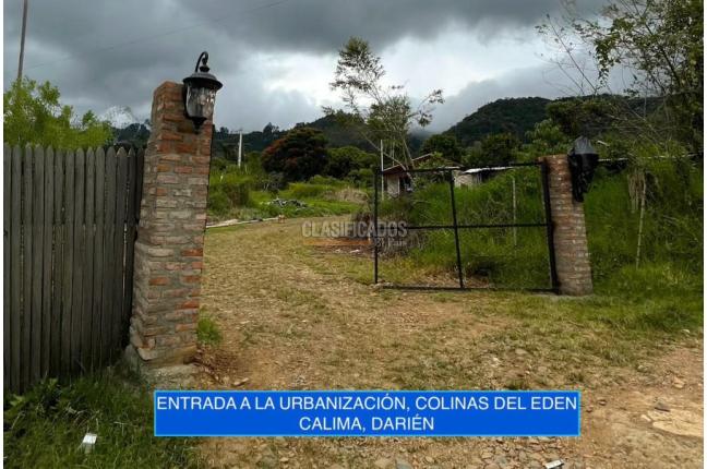 Lotes, Venta, Calima (Darién) - $95.000.000
