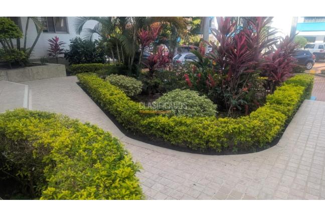 Apartamentos, Venta, El Ingenio - $320.000.000