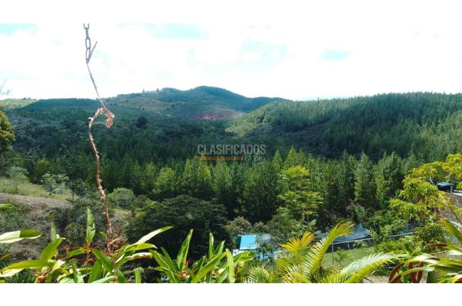 Fincas y Casas Campestres, Venta, La Cumbre - $250.000.000