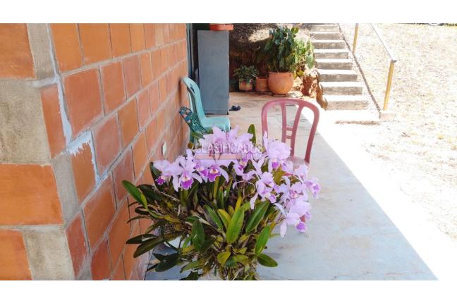 Fincas y Casas Campestres, Venta, La Cumbre - $250.000.000
