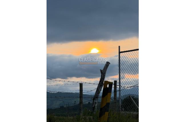 Fincas y Casas Campestres, Venta, La Cumbre - $450.000.000
