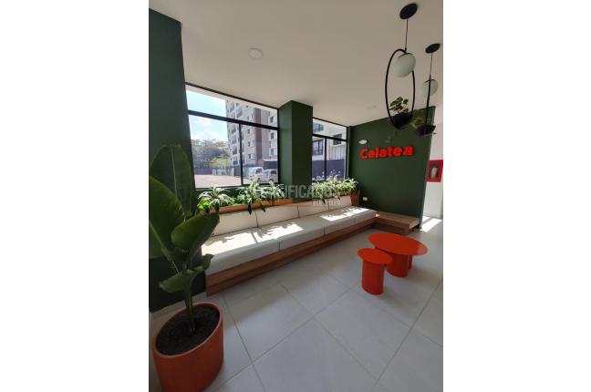 Apartamentos, Alquiler en Ciudad Melendez