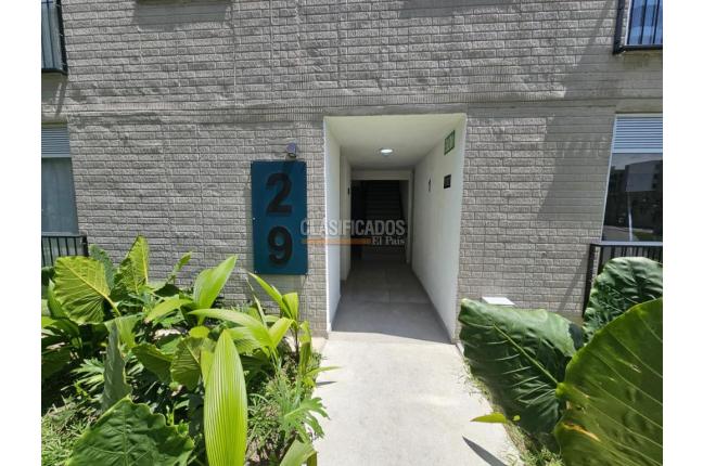 Apartamentos, Alquiler en Palmira