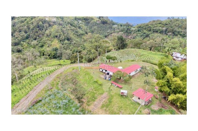 Casas, Venta en Quipile