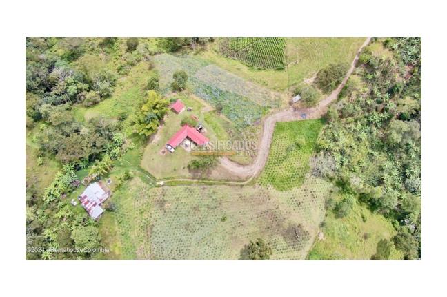 Casas, Venta en Quipile