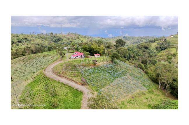 Casas, Venta en Quipile