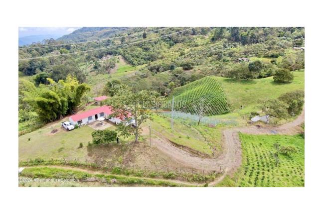 Casas, Venta en Quipile
