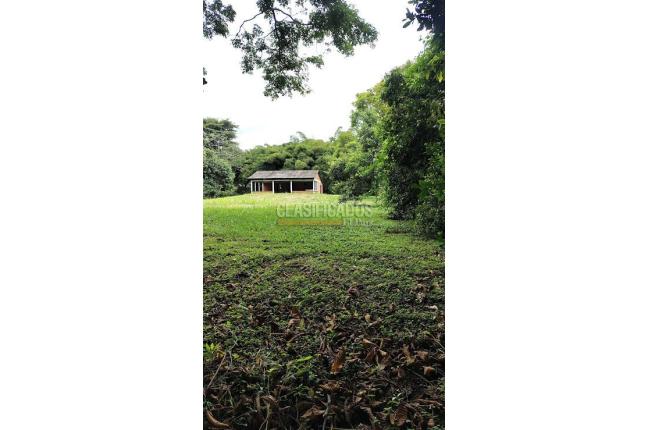 Lotes, Venta en Pance