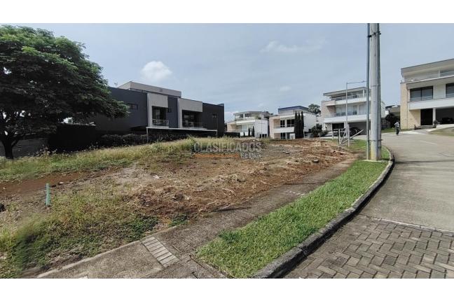 Lotes, Venta, Pance - $1.004.000.000