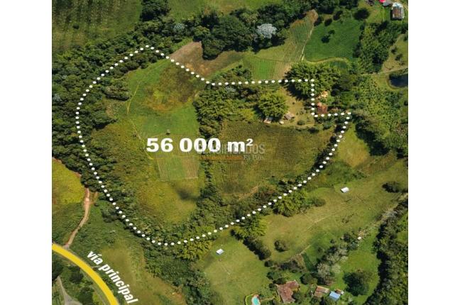 Lotes, Venta, Calima (Darién) - $500.000.000