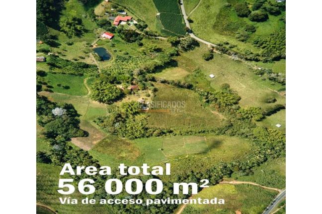 Lotes, Venta, Calima (Darién) - $500.000.000