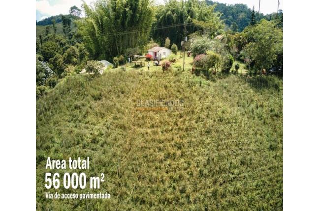 Lotes, Venta, Calima (Darién) - $500.000.000