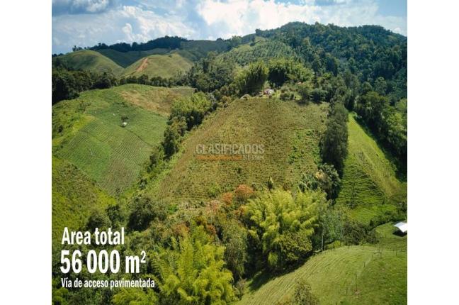 Lotes, Venta, Calima (Darién) - $500.000.000