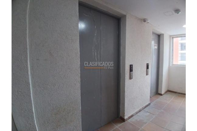 Apartamentos, Alquiler en Bellavista