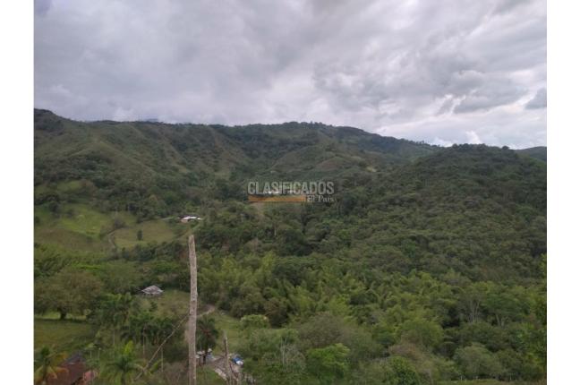 Fincas y Casas Campestres, Venta en Guacarí