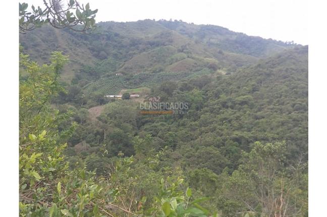 Fincas y Casas Campestres, Venta en Guacarí