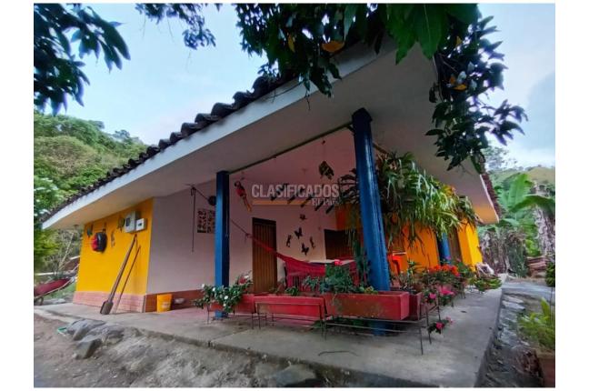 Fincas y Casas Campestres, Venta en Guacarí