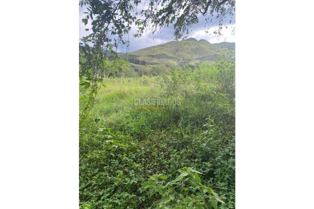 Lotes, Venta en La Campiña