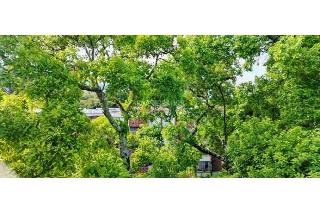 Apartamentos, Venta, Camino Real - $443.000.000