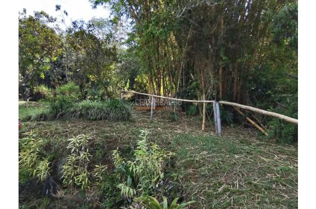 Apartamentos, Alquiler en Chorro de Plata