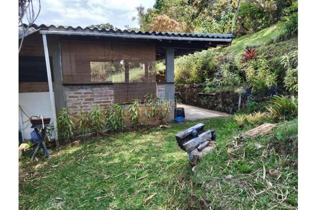 Apartamentos, Alquiler, Chorro de Plata - $3.000.000
