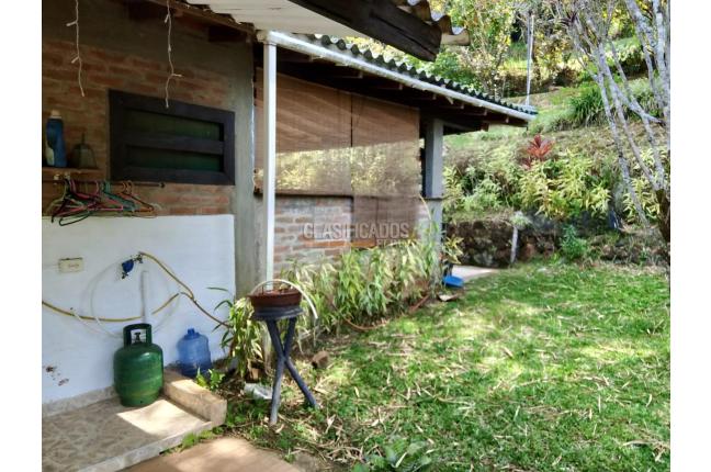 Apartamentos, Alquiler, Chorro de Plata - $3.000.000