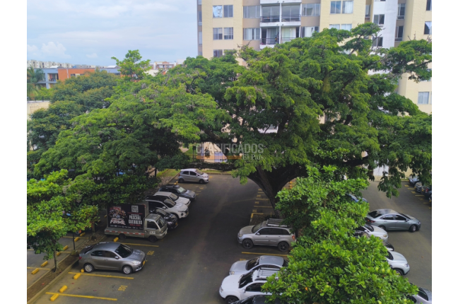 Apartamentos, Venta, Ciudad Bochalema - $240.000.000