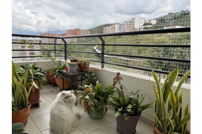 Apartamentos, Venta, Cerro Cristales - $650.000.000