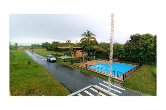 Lotes, Venta en Palmira