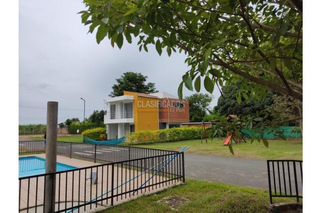 Lotes, Venta, Palmira - $85.000.000