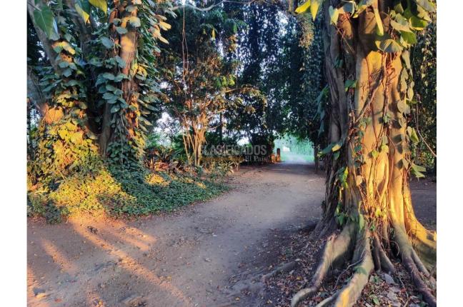 Lotes, Venta, Jamundí - $5.663.100.000