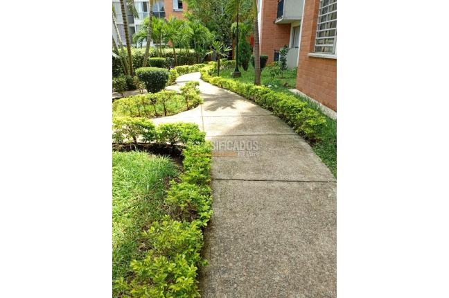 Apartamentos, Venta, Ciudad Melendez - $250.000.000
