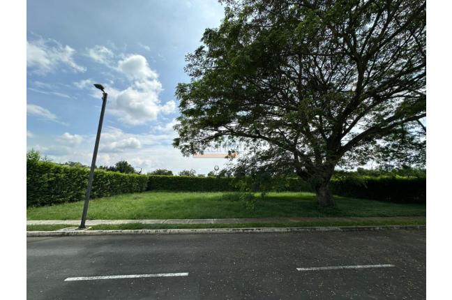 Lotes, Venta en Palmira