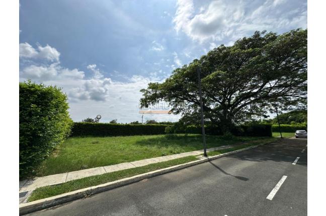 Lotes, Venta, Palmira - $310.000.000