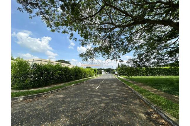 Lotes, Venta, Palmira - $310.000.000