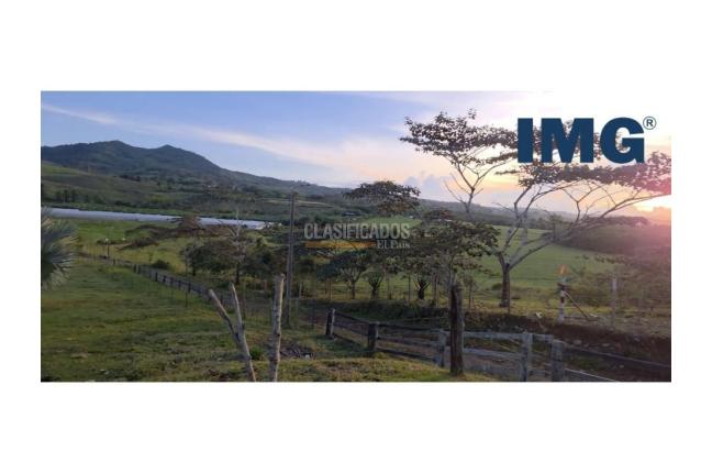 Lotes, Venta, La Cumbre - $280.000.000