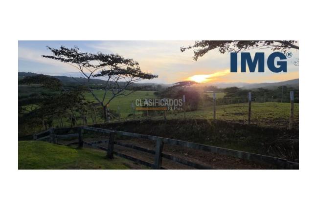 Lotes, Venta, La Cumbre - $280.000.000
