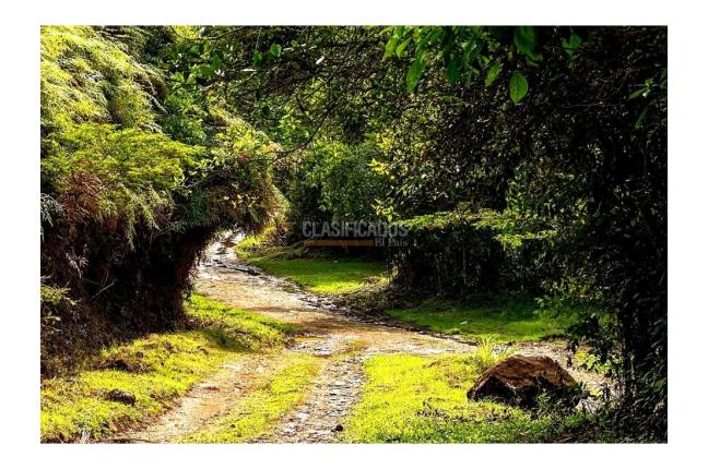 Lotes, Venta, Jamundí - $225.000.000