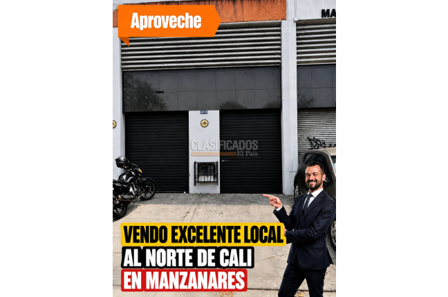 Locales y Bodegas, Venta en Manzanares