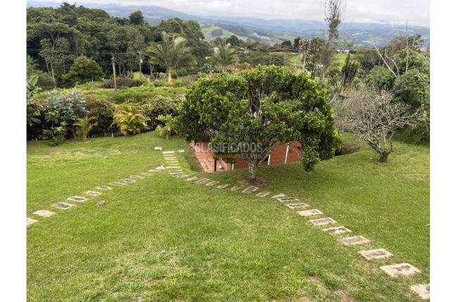 Fincas y Casas Campestres, Venta, Calima (Darién) - $800.000.000