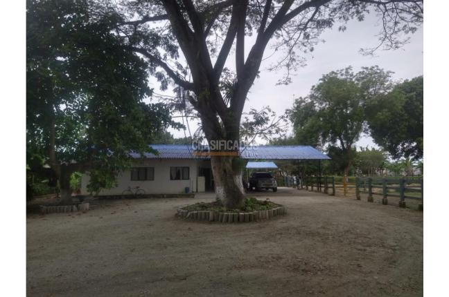 Fincas y Casas Campestres, Venta en Candelaria