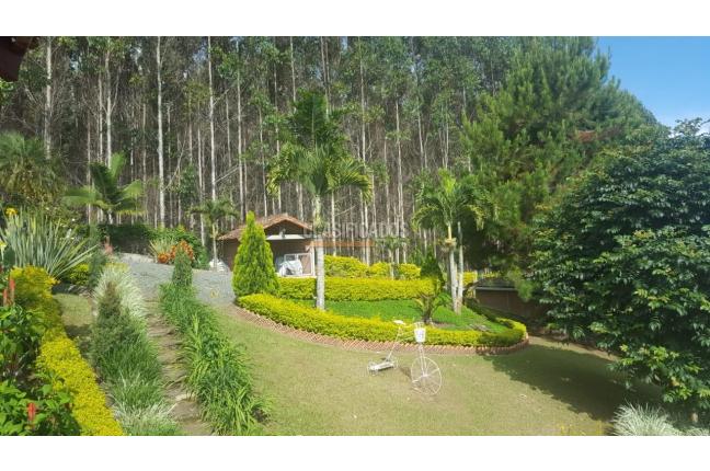 Fincas y Casas Campestres, Venta en Dagua