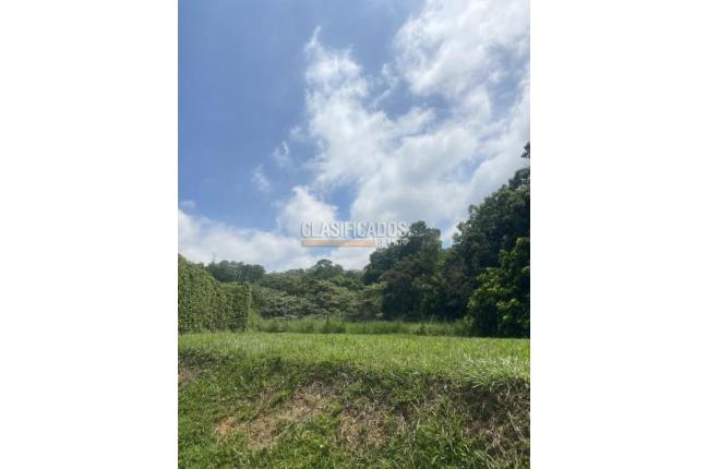 Lotes, Venta en Jamundí