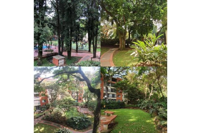 Apartamentos, Venta, Las Quintas de Don Simón - $365.000.000