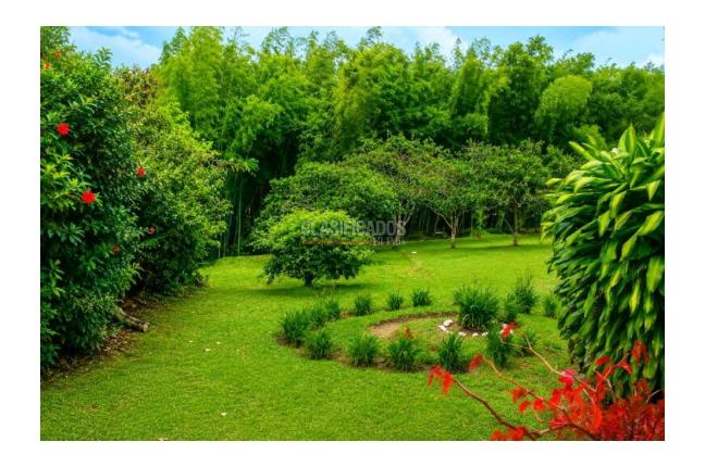 Fincas y Casas Campestres, Venta, La Cumbre - $500.000.000